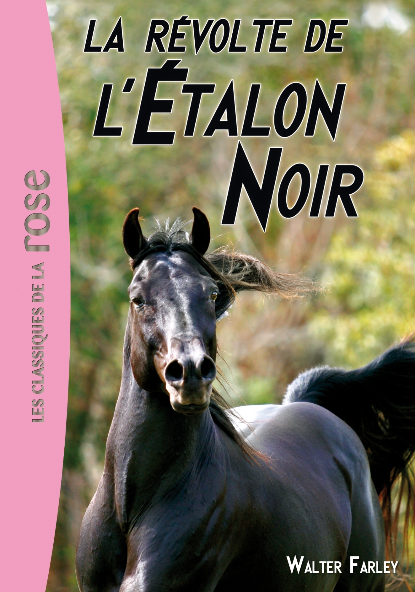 L-ETALON NOIR T6 LA REVOLTE DE L-ETALON NOI R - Walter Farley - HACHETTE JEUN.