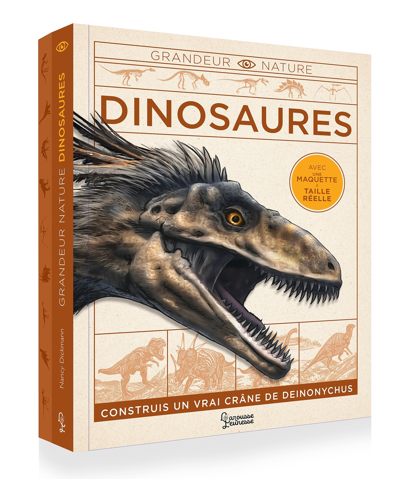 DINOSAURES     CONSTRUIS UN VRAI CRANE - Nancy Dickmann - LAROUSSE