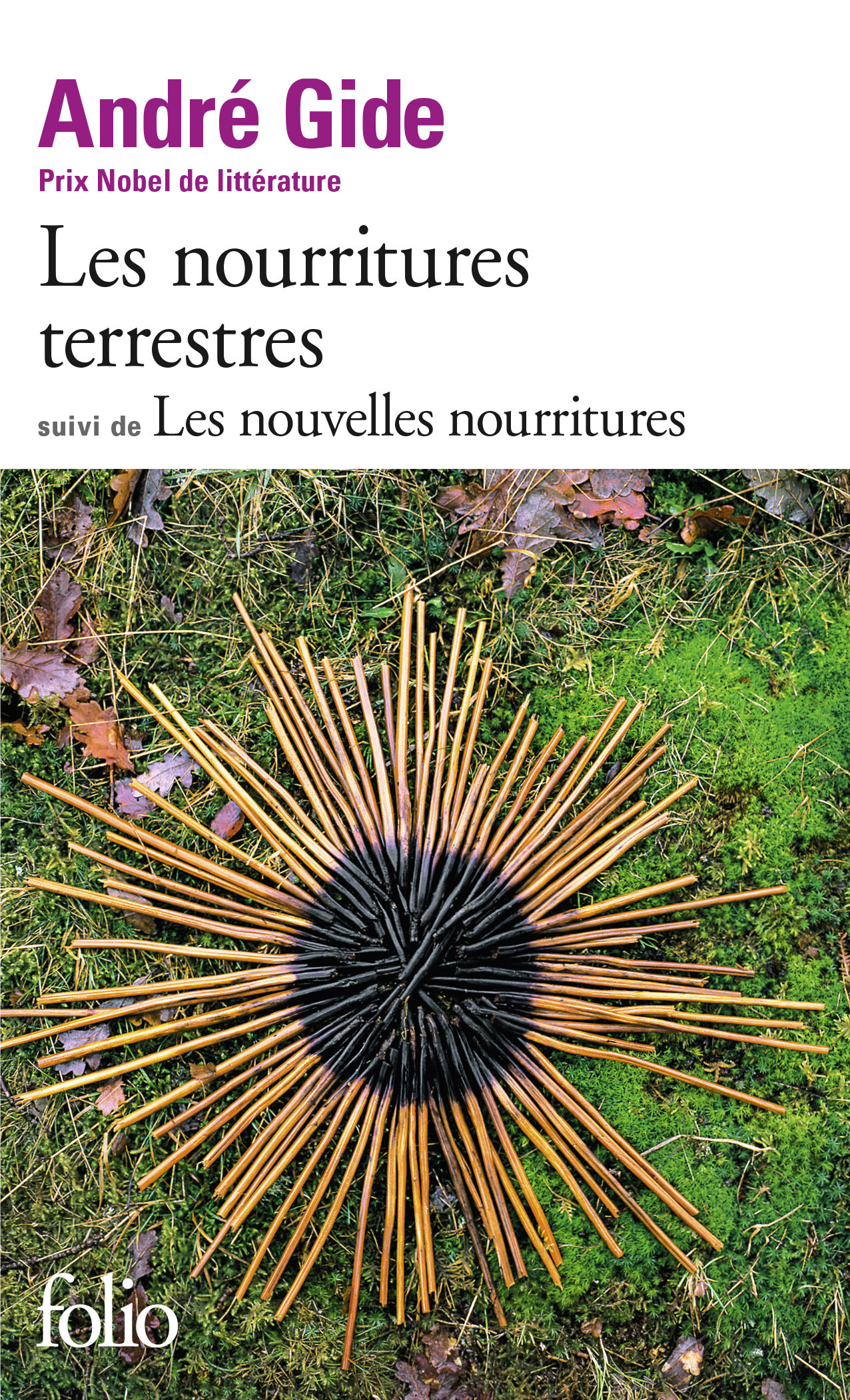 LES NOURRITURES TERRESTRES / LES NOUVELLES - André GIDE - FOLIO