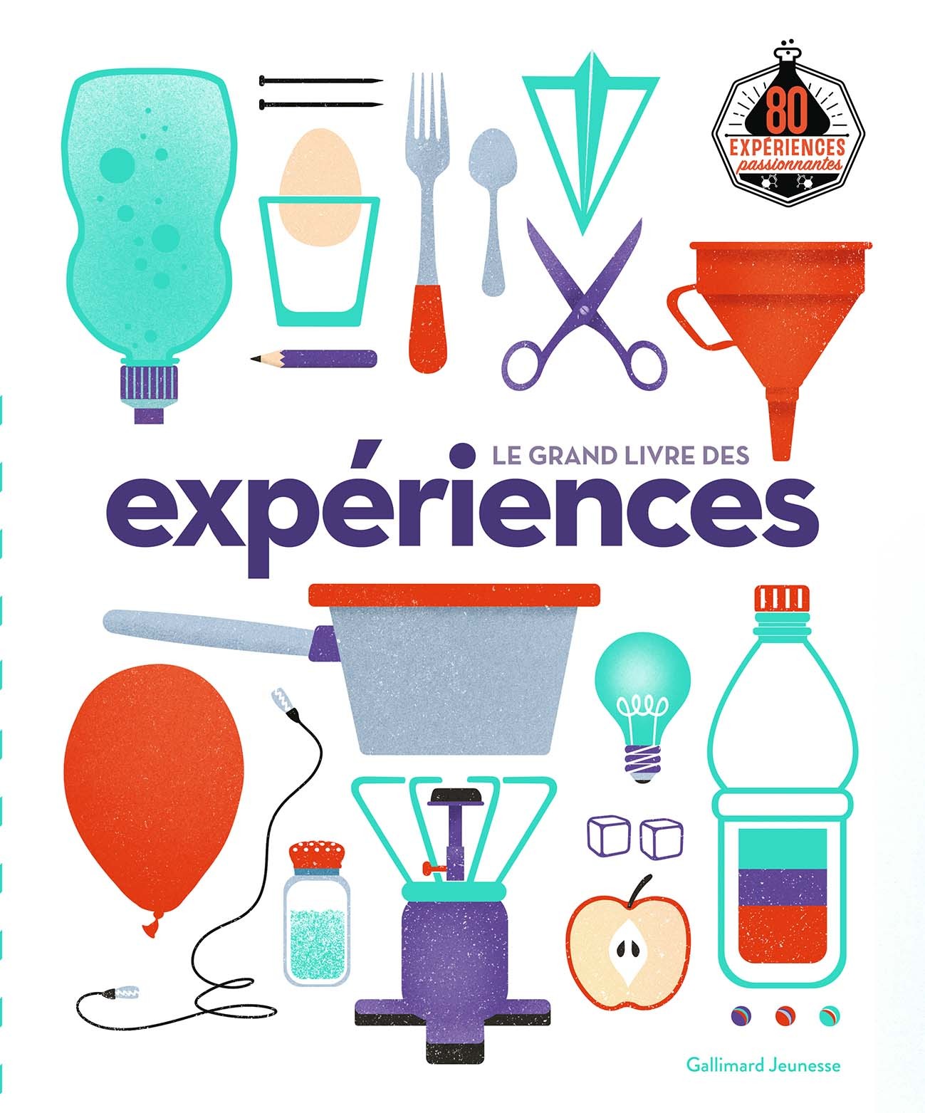 LE GRAND LIVRE DES EXPERIENCES - Ian Graham - GALLIMARD JEUNE