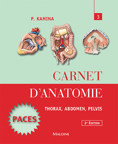 CARNET D-ANATOMIE T3 THORAX ABDOMEN PELVIS 3ED - Pierre Kamina - MALOINE