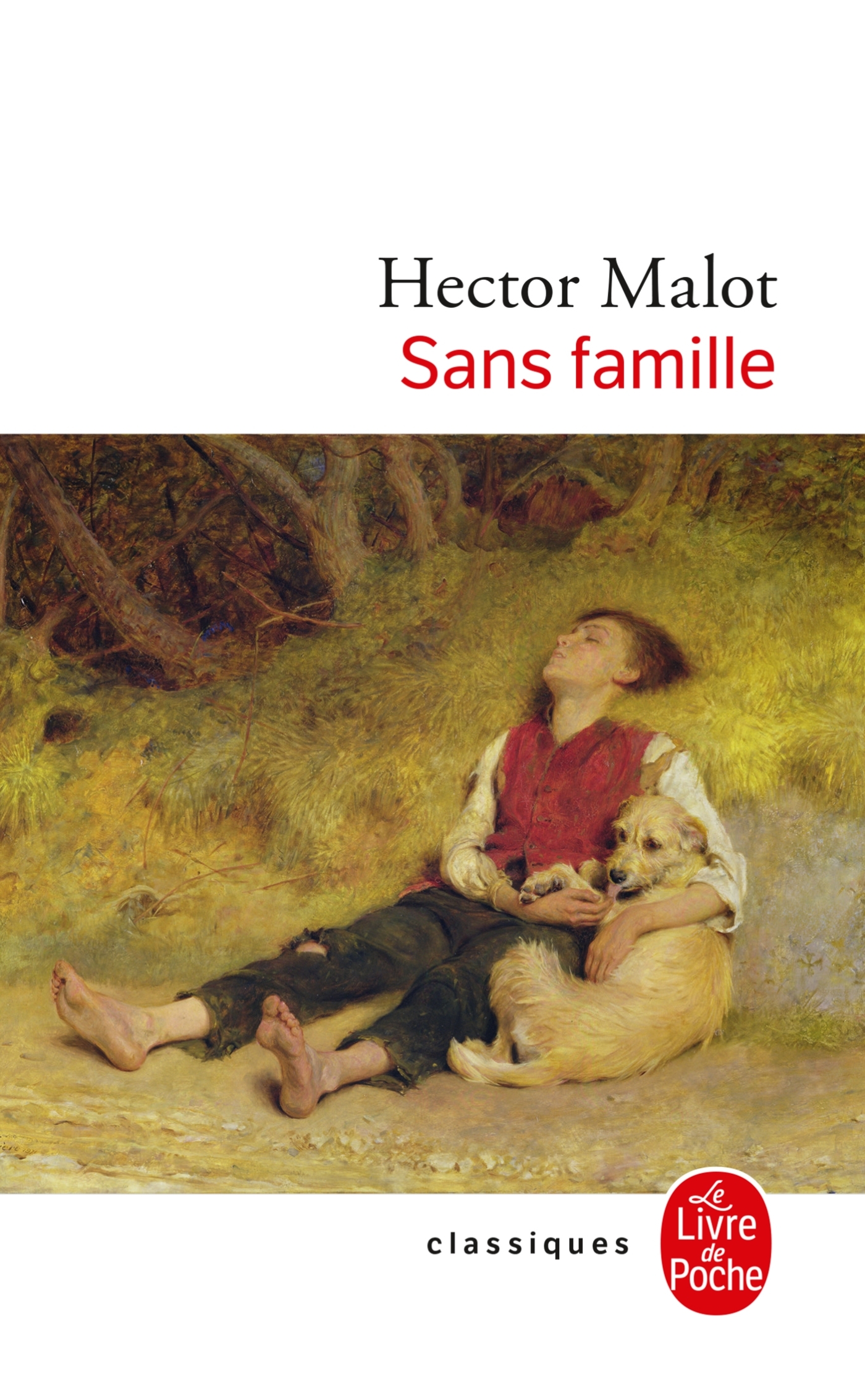 SANS FAMILLE - Hector Malot - LGF