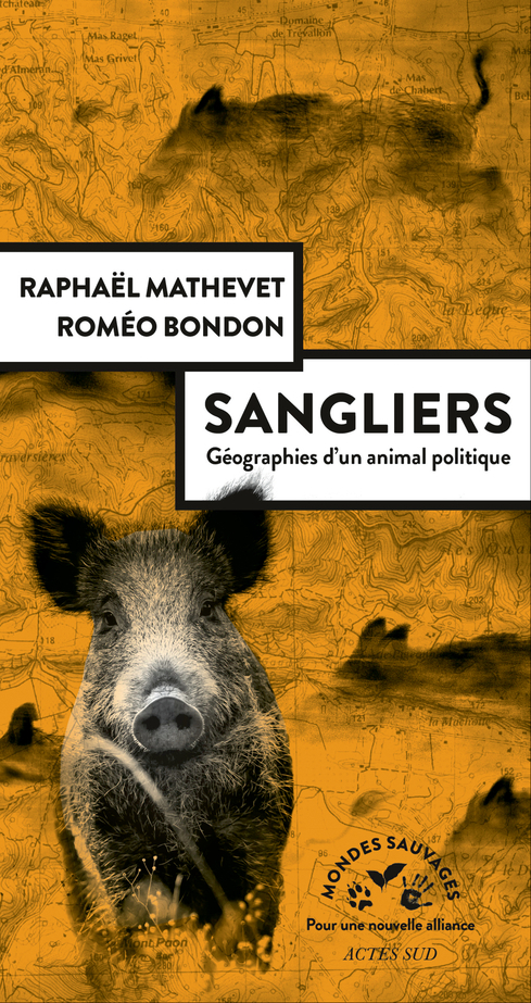 Sangliers, géographies d'un animal politique - Roméo BONDON - ACTES SUD