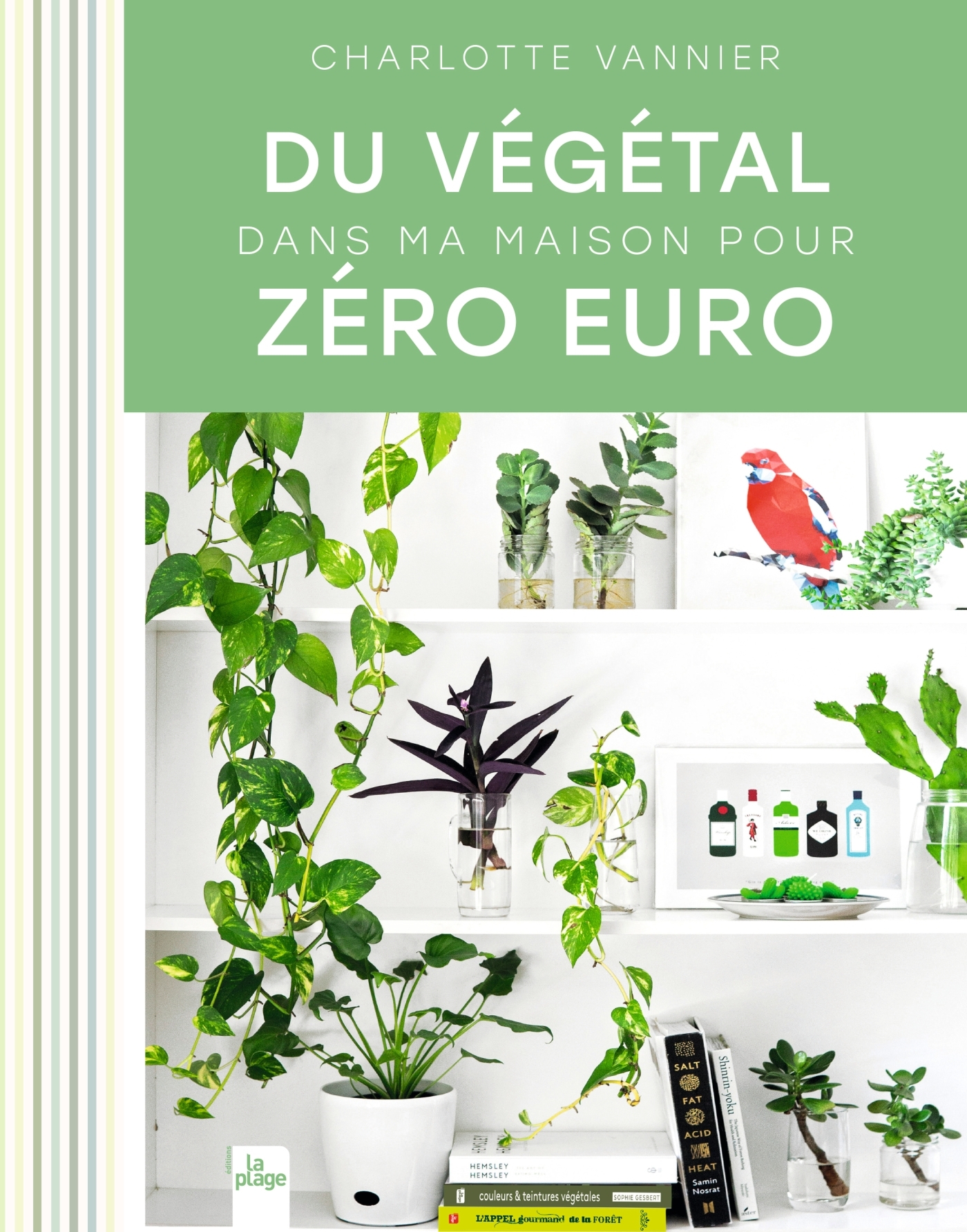 DECO GREEN POUR ZERO EURO - Charlotte Vannier - LA PLAGE