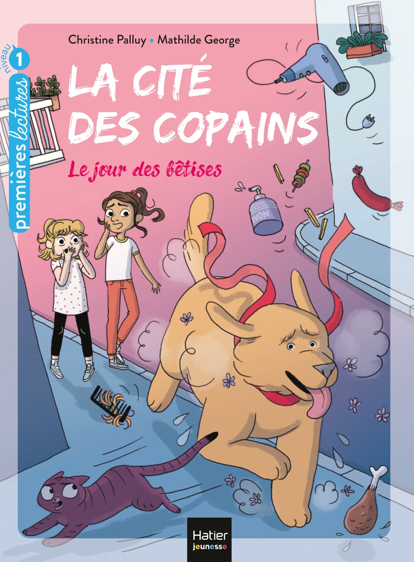 LA CITE DES COPAINS - T9 - LA CITE DES COPAINS - LE JOUR DES BETISES GS/CP 5/6 ANS - Christine Palluy - HATIER JEUNESSE