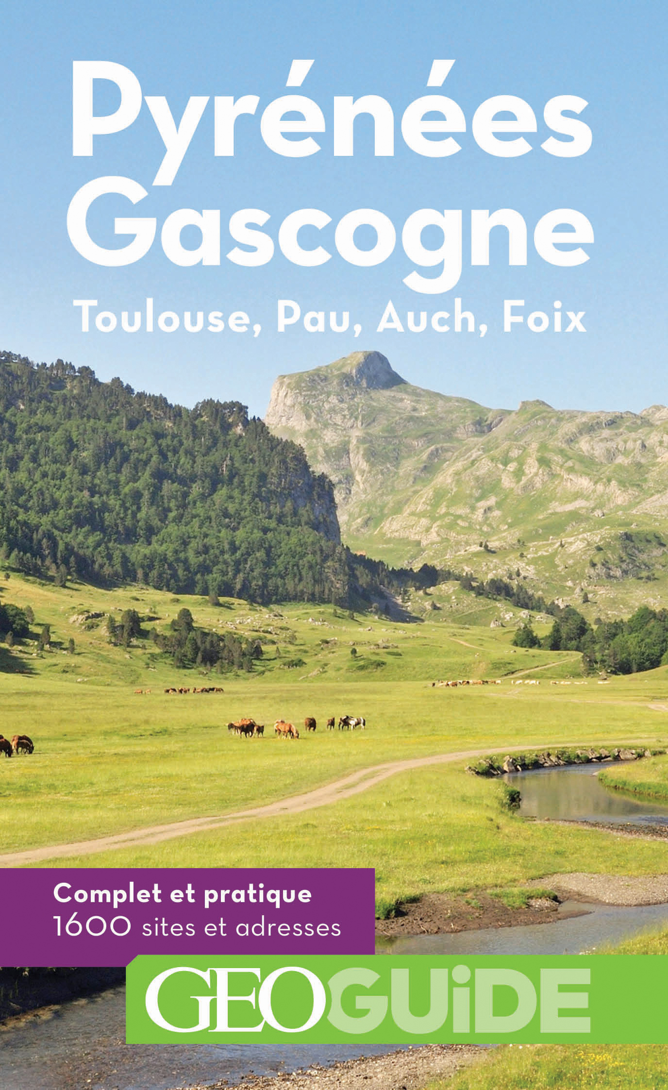 PYRENEES - GASCOGNE - TOULOUSE, PAU, AUCH, FOIX -  Collectifs - GALLIM LOISIRS