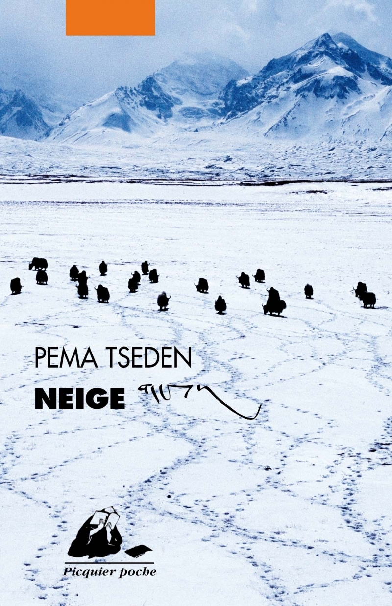 NEIGE -  PEMA TSEDEN - PICQUIER