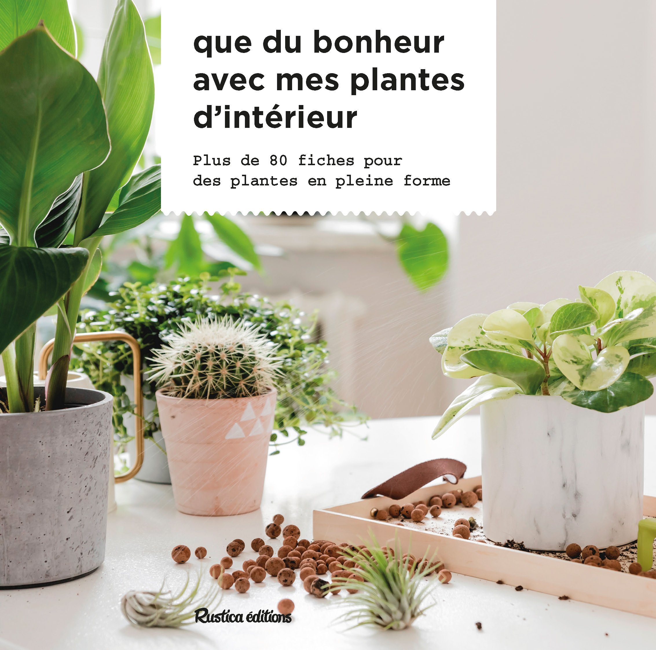 QUE DU BONHEUR AVEC MES PLANTES D INTERIEUR - Valérie Garnaud - RUSTICA