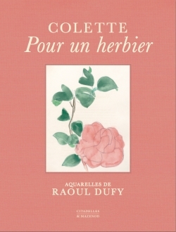 POUR UN HERBIER - COLETTE, AQUARELLES DE RAOUL DUFY -  Colette - CITADELLES