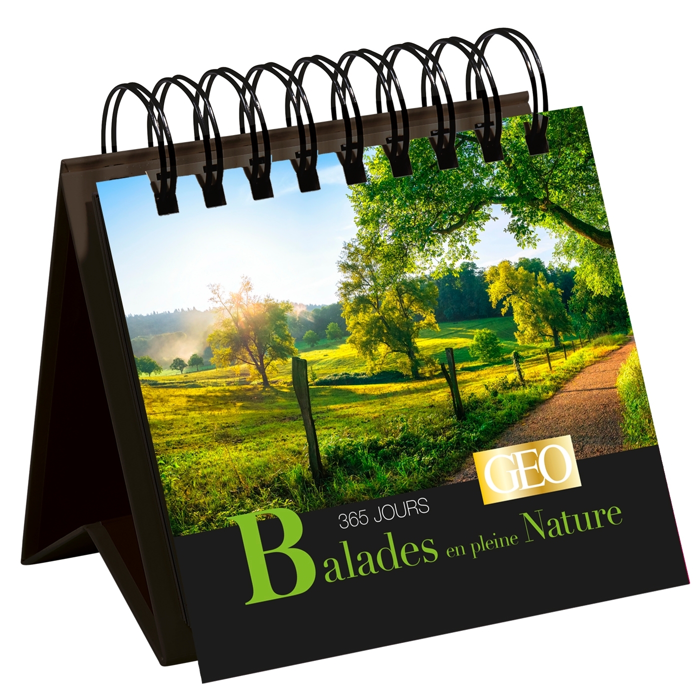 CHEVALET GEO 365 JOURS DE BALADES EN PLEINE NATURE -  Playbac Éditions - PLAY BAC