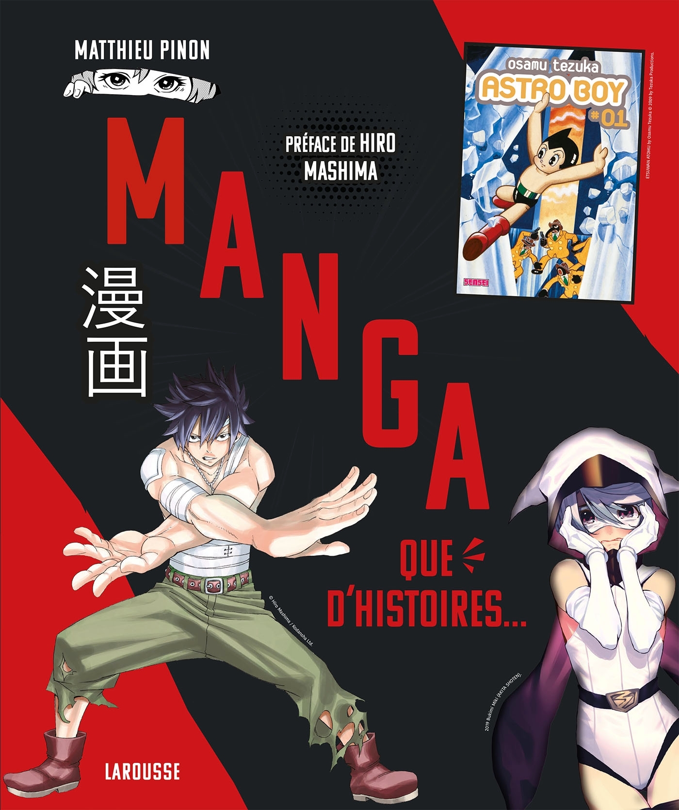 MANGA, QUE D-HISTOIRES ! - Matthieu Pinon - LAROUSSE