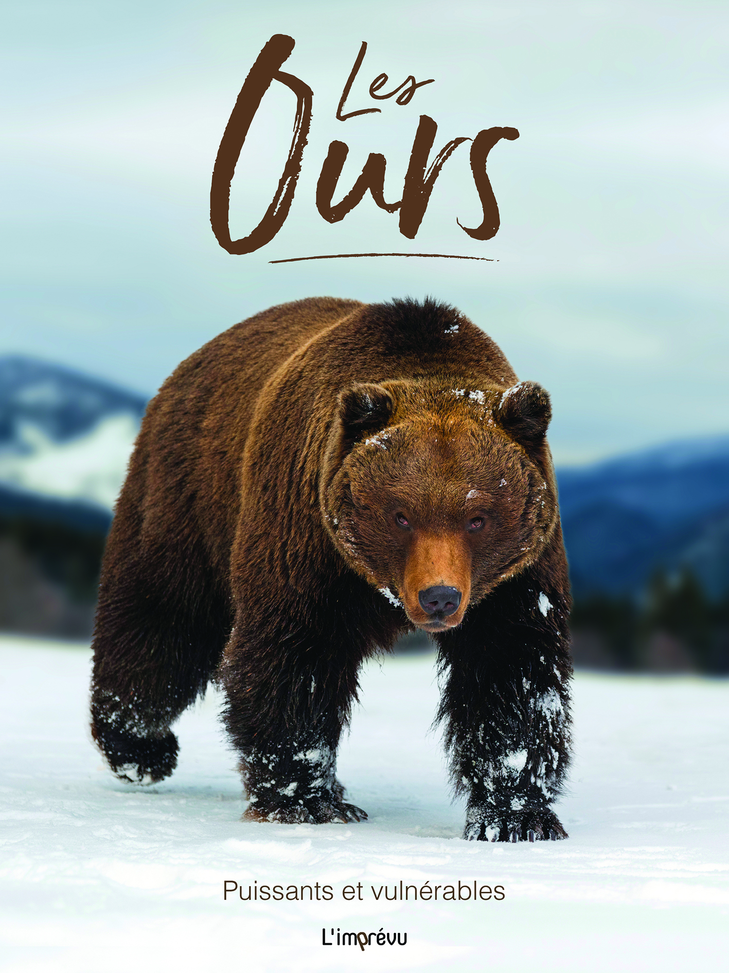 LES OURS. PUISSANTS ET VULNERABLES - Tom Jackson - L IMPREVU