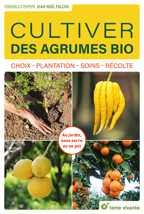 CULTIVER DES AGRUMES BIO - CHOIX - PLANTATION - SOINS - RECOLTE - Jean-Noël Falcou - TERRE VIVANTE