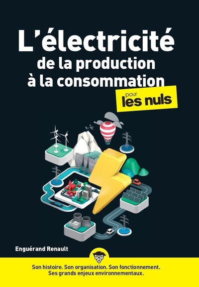 L-ELECRICITE DE LA PRODUCTION A LA CONSOMMATION POUR LES NULS - Enguerand Renault - POUR LES NULS