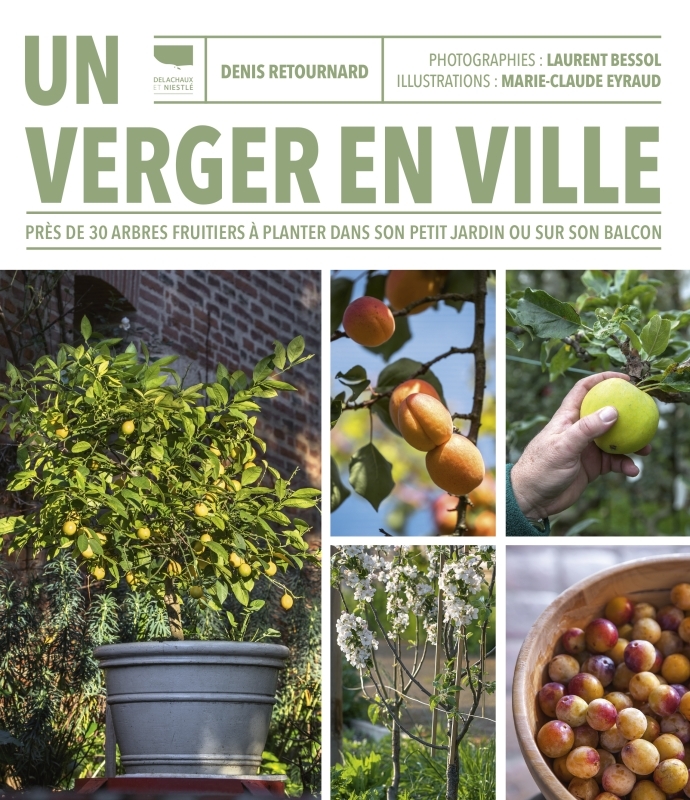 UN VERGER EN VILLE. PRES DE 30 ARBRES FRUITIERS A PLANTER DANS SON PETIT JARDIN OU SUR SON BALCON - Denis Retournard - DELACHAUX