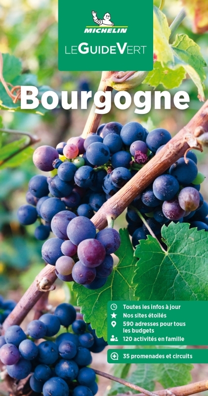 GUIDE VERT BOURGOGNE - XXX - MICHELIN