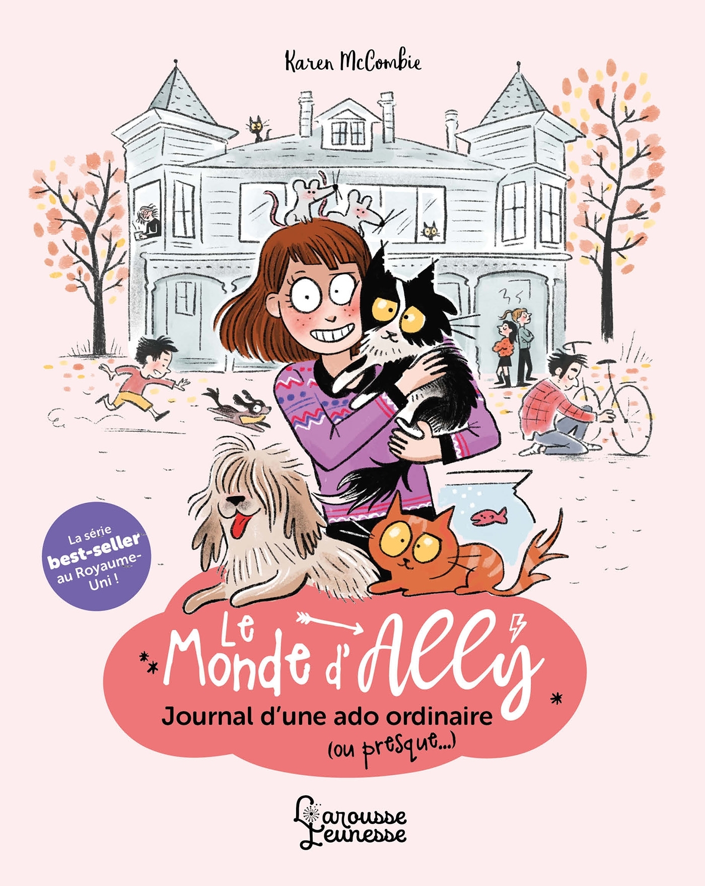 LE MONDE D-ALLY - JOURNAL D-UNE ADO ORDI T01 - Karen McCombie - LAROUSSE