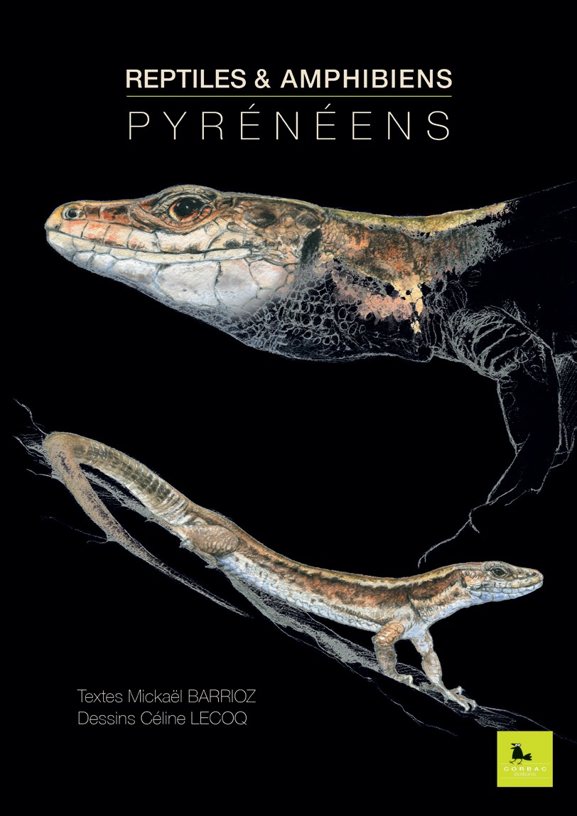 REPTILES & AMPHIBIENS PYRENEENS - Mickael Barrioz - CORBAC