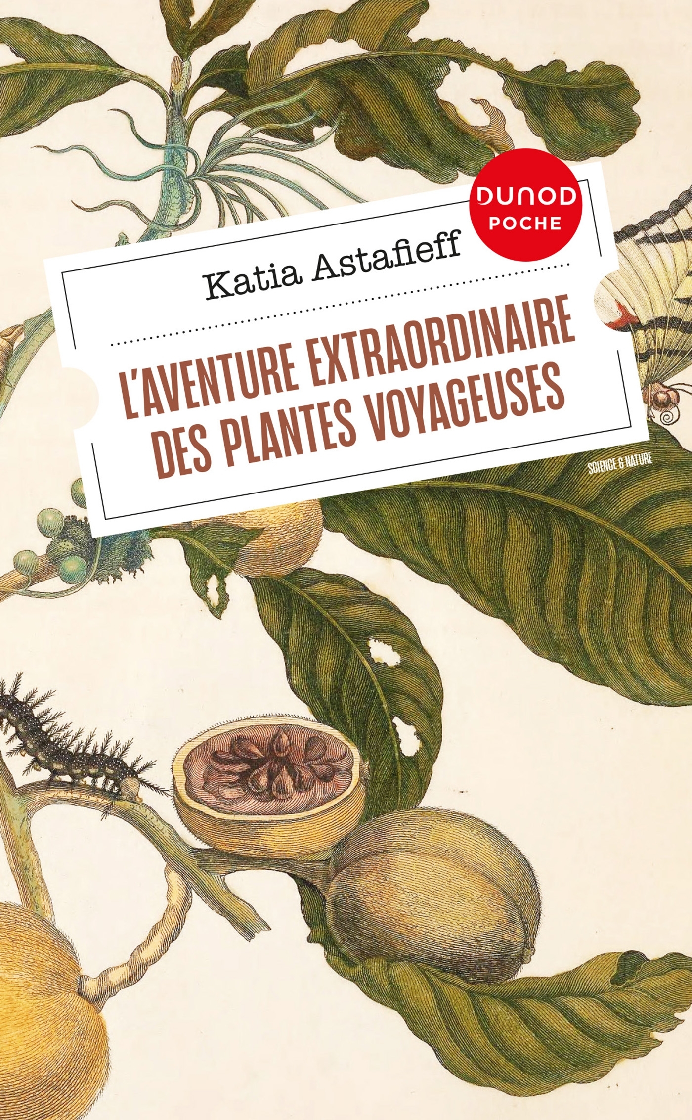 L-AVENTURE EXTRAORDINAIRE DES PLANTES VOYAGEUSES - Katia Astafieff - DUNOD