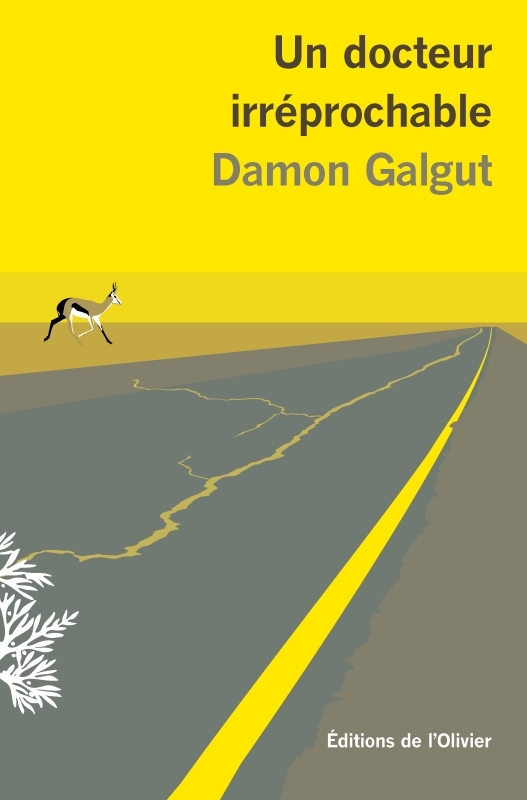 UN DOCTEUR IRREPROCHABLE - Damon Galgut - OLIVIER