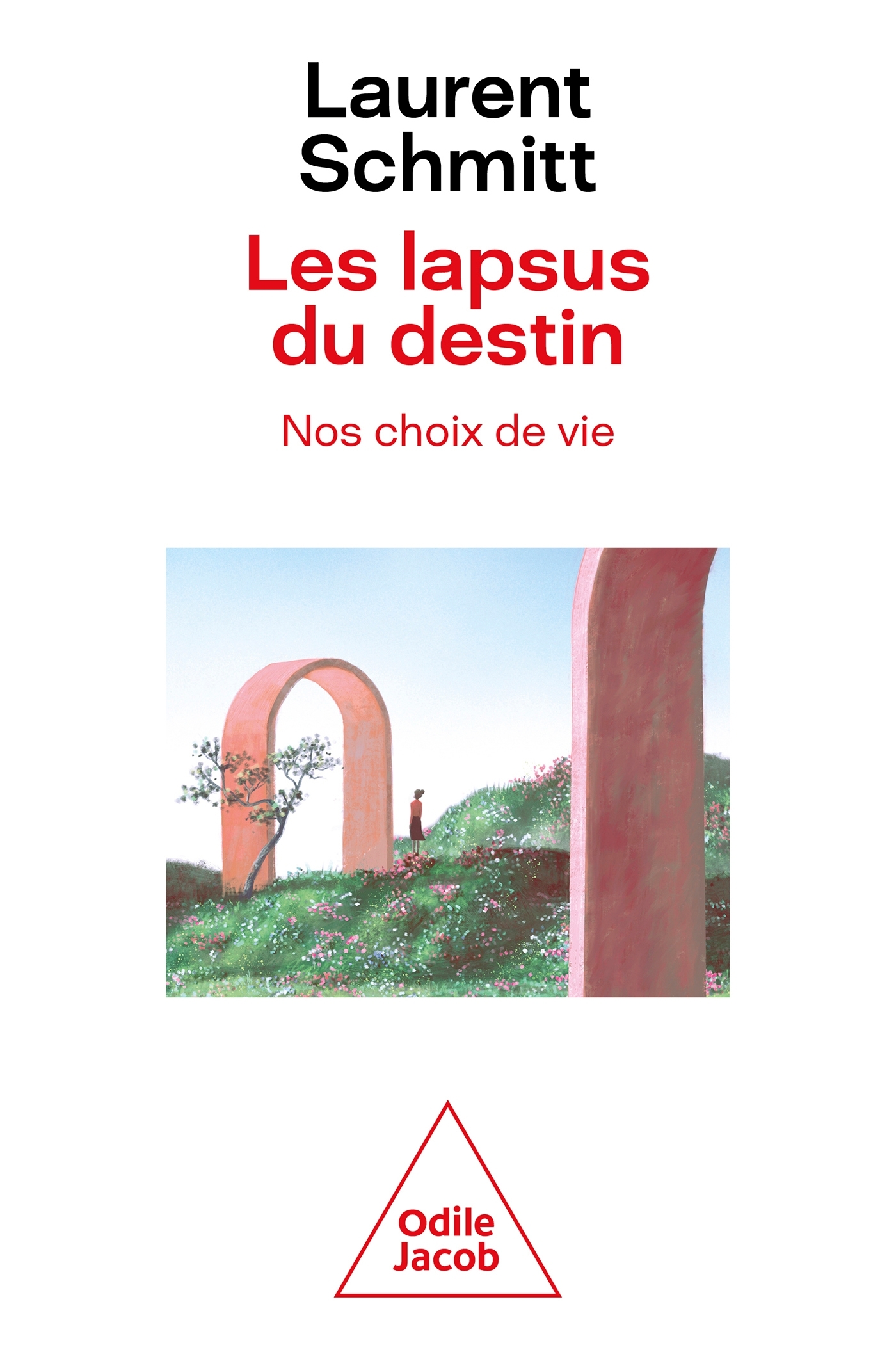 LES LAPSUS DU DESTIN - NOS CHOIX DE VIE - Laurent Schmitt - JACOB