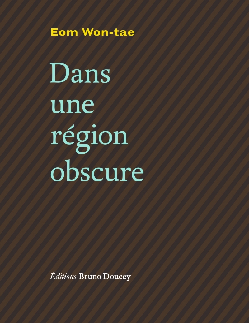 DANS UNE REGION OBSCURE - Won-tae EOM - BRUNO DOUCEY