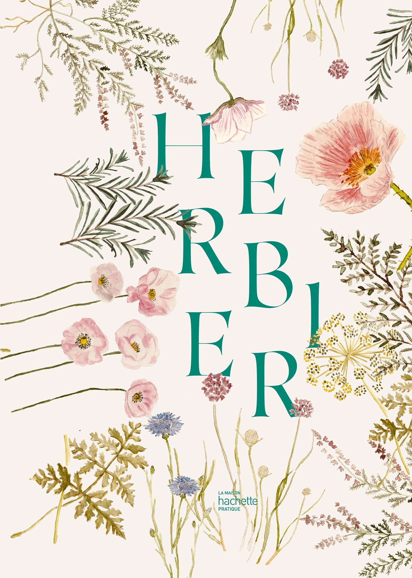 HERBIER -   - HACHETTE PRAT