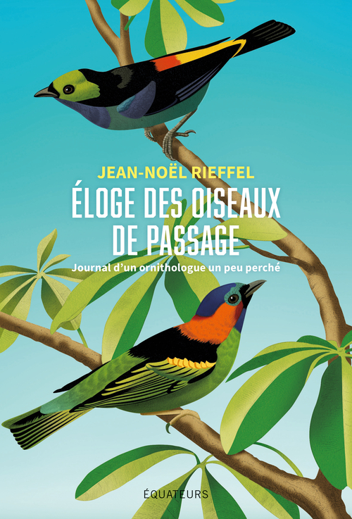 ELOGE DES OISEAUX DE PASSAGE - JOURNAL D-UN ORNITHOLOGUE AMATEUR -  Rieffel jean-noel - DES EQUATEURS