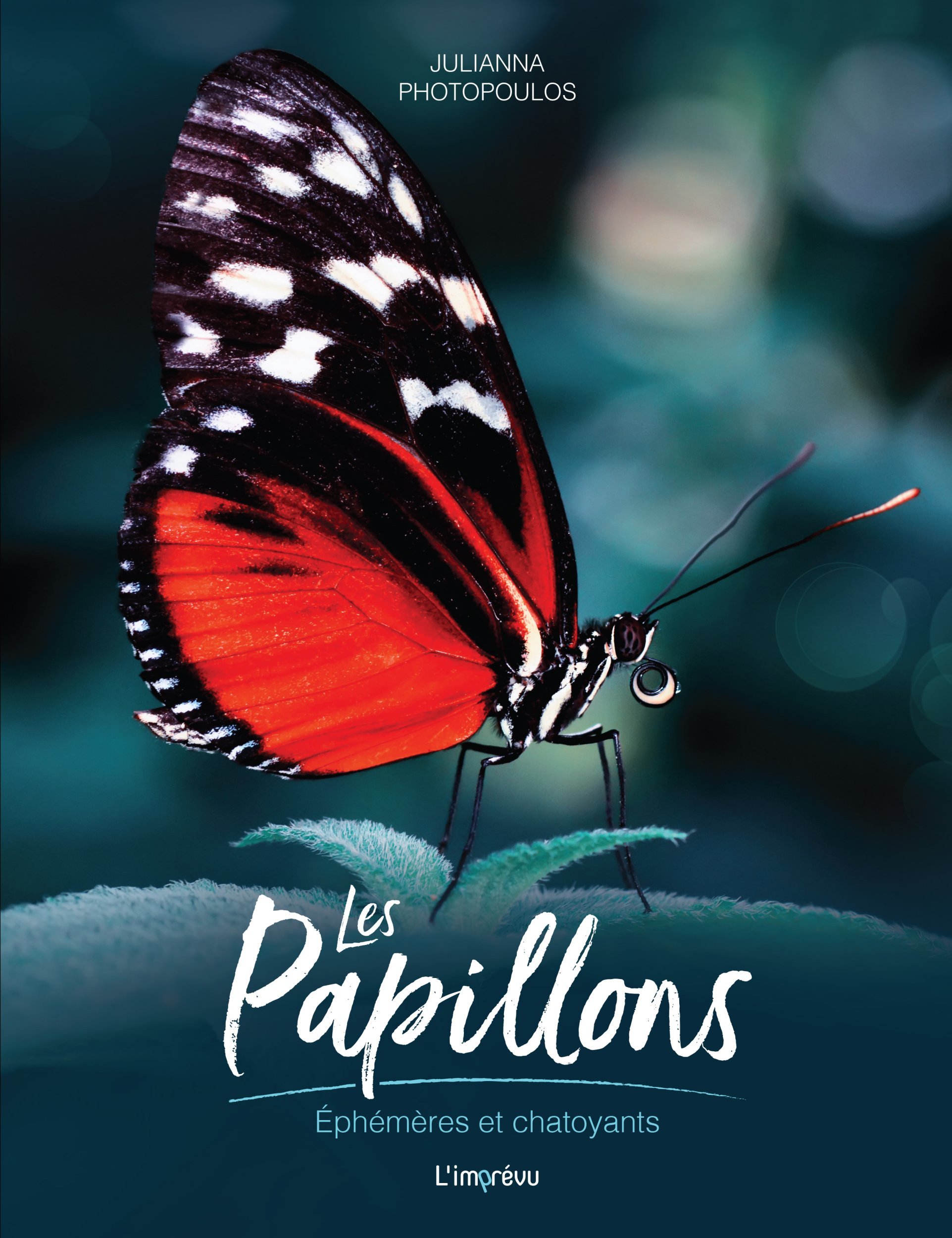 LES PAPILLONS. EPHEMERES ET CHATOYANTS - Julianna Photopoulos - L IMPREVU