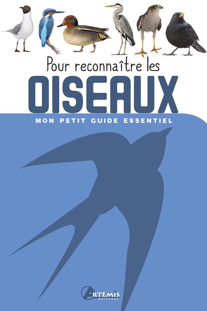 POUR RECONNAITRE LES OISEAUX -  Collectif - ARTEMIS