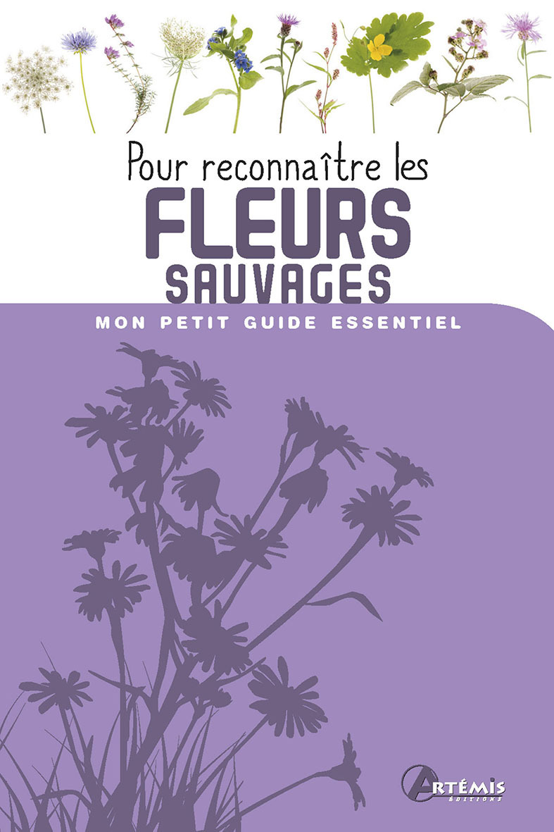 POUR RECONNAITRE LES FLEURS SAUVAGES -  Collectif - ARTEMIS