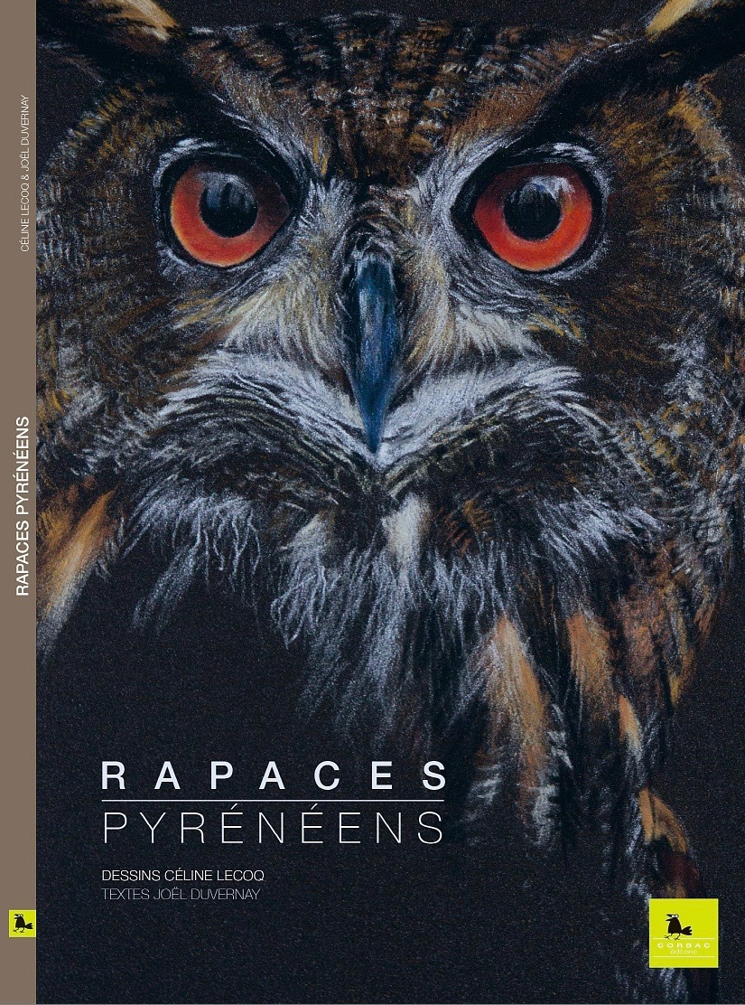 RAPACES PYRENEENS - Céline LECOQ - CORBAC