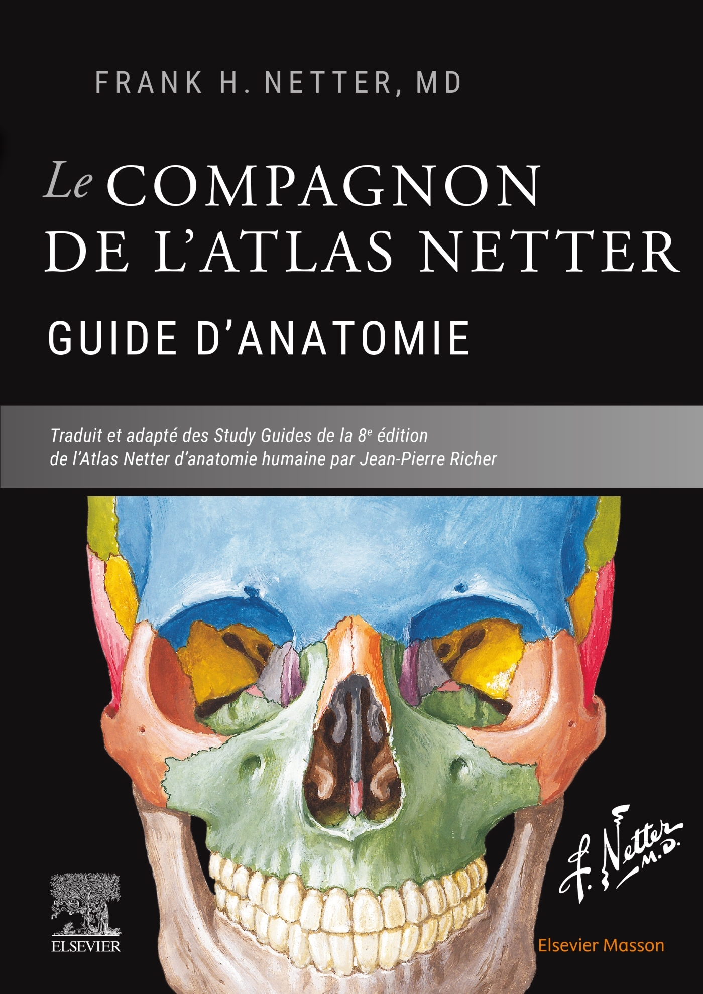 Le compagnon de l'atlas Netter - Guide d'anatomie - Frank Netter - MASSON