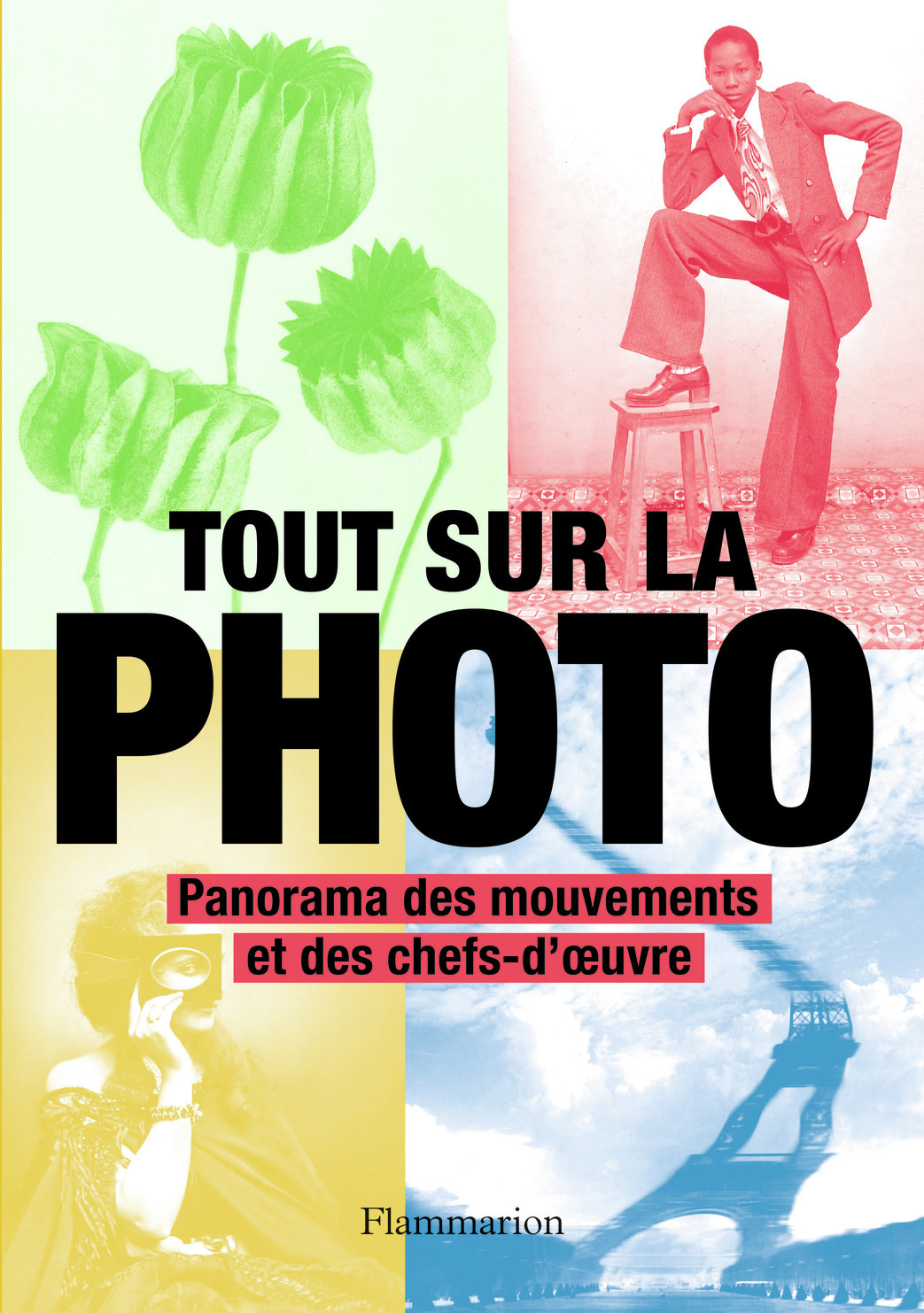 TOUT SUR LA PHOTO (NE 2021) - PANORAMA DES MOUVEMENTS ET DES CHEFS-D-OEUVRE -  Collectif - FLAMMARION