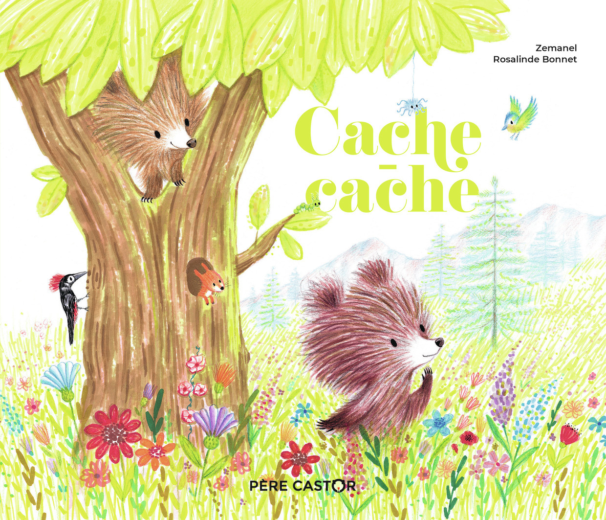 CACHE-CACHE -  Zemanel - PERE CASTOR