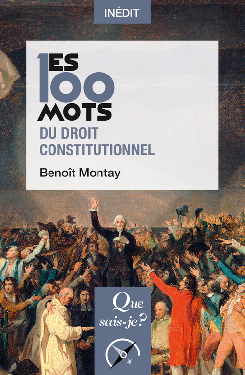 LES 100 MOTS DU DROIT CONSTITUTIONNEL - Benoît Montay - QUE SAIS JE