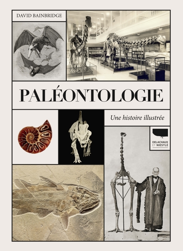 PALEONTOLOGIE. UNE HISTOIRE ILLUSTREE - David Bainbridge - DELACHAUX