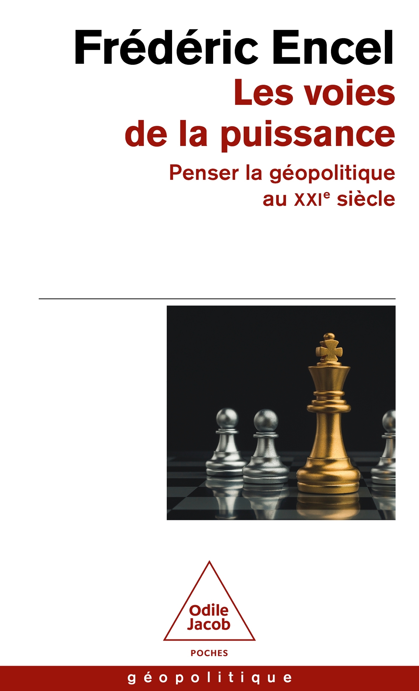 LES VOIES DE LA PUISSANCE - Frédéric Encel - JACOB