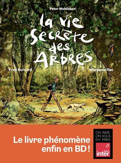 La Vie secrète des arbres en BD - Peter Wohlleben - LES ARENES BD