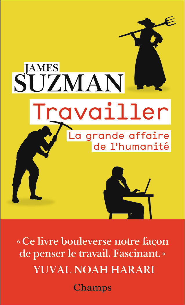 TRAVAILLER - LA GRANDE AFFAIRE DE L-HUMANITE - James Suzman - FLAMMARION