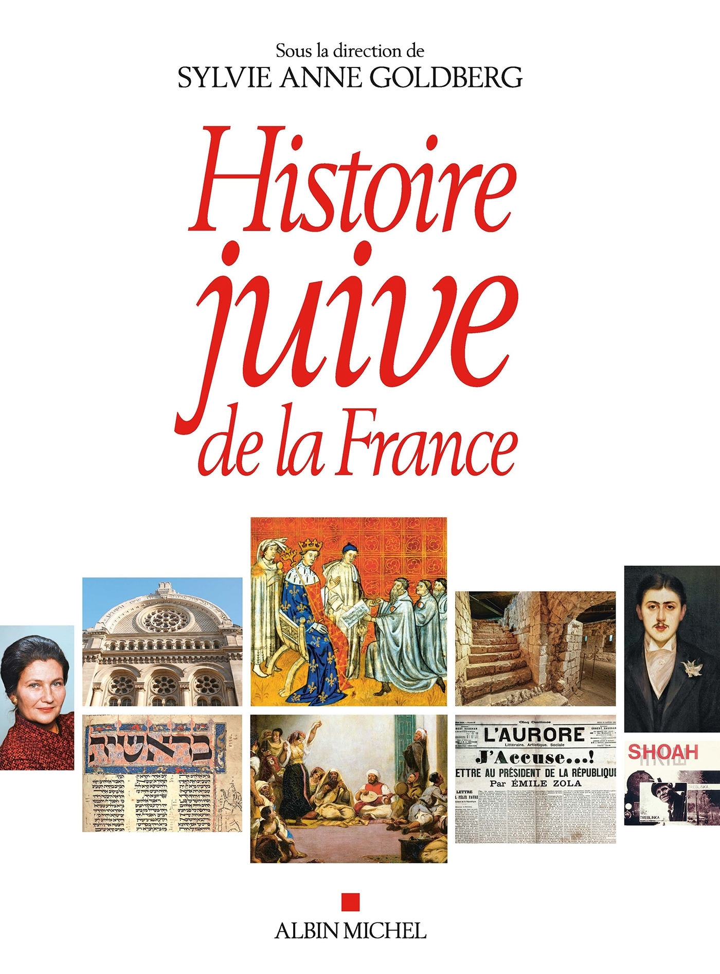 HISTOIRE JUIVE DE LA FRANCE - Sylvie-Anne Goldberg - ALBIN MICHEL