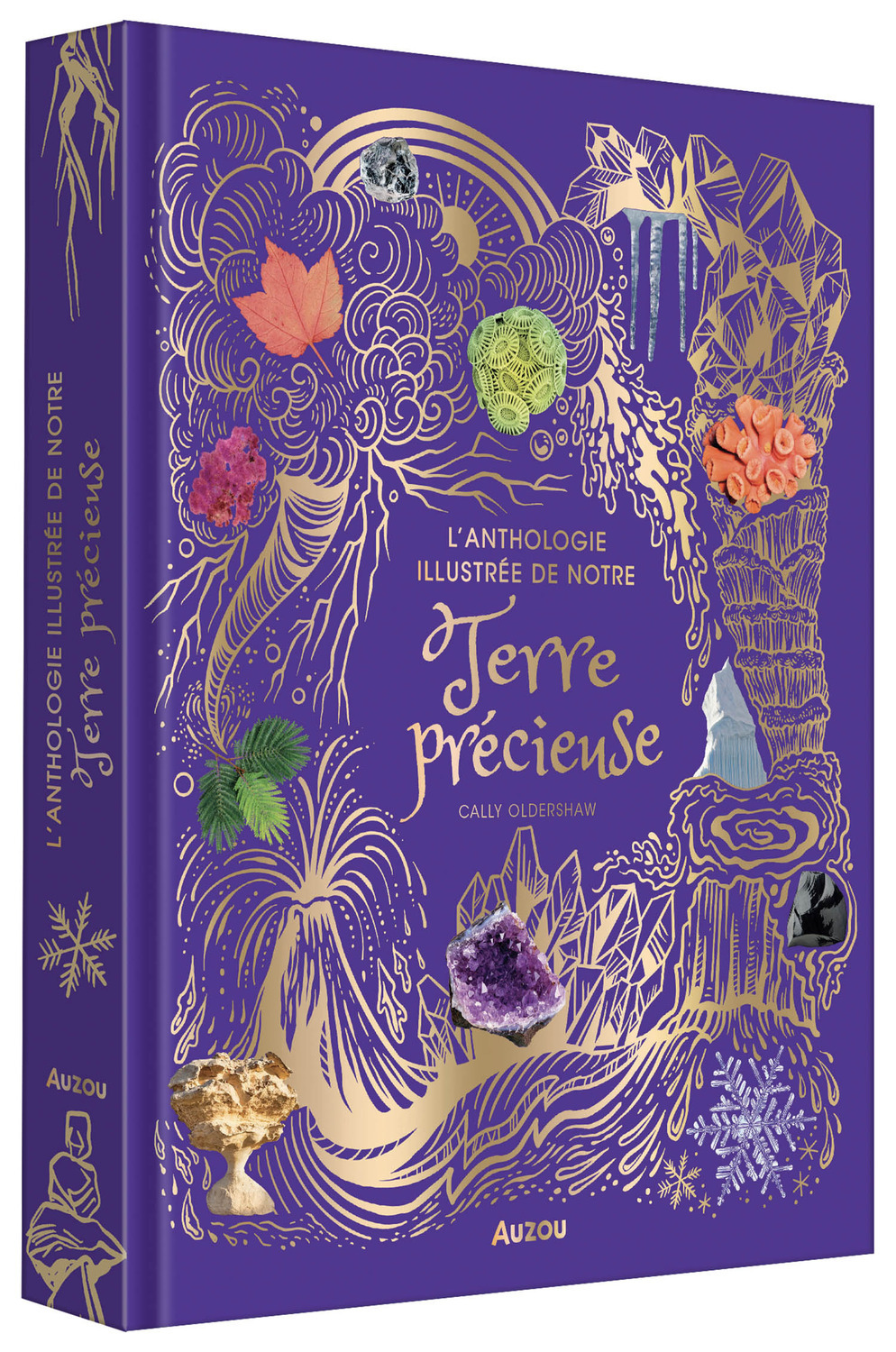 L-ANTHOLOGIE ILLUSTREE DE NOTRE TERRE PRECIEUSE - Daniel Long - AUZOU