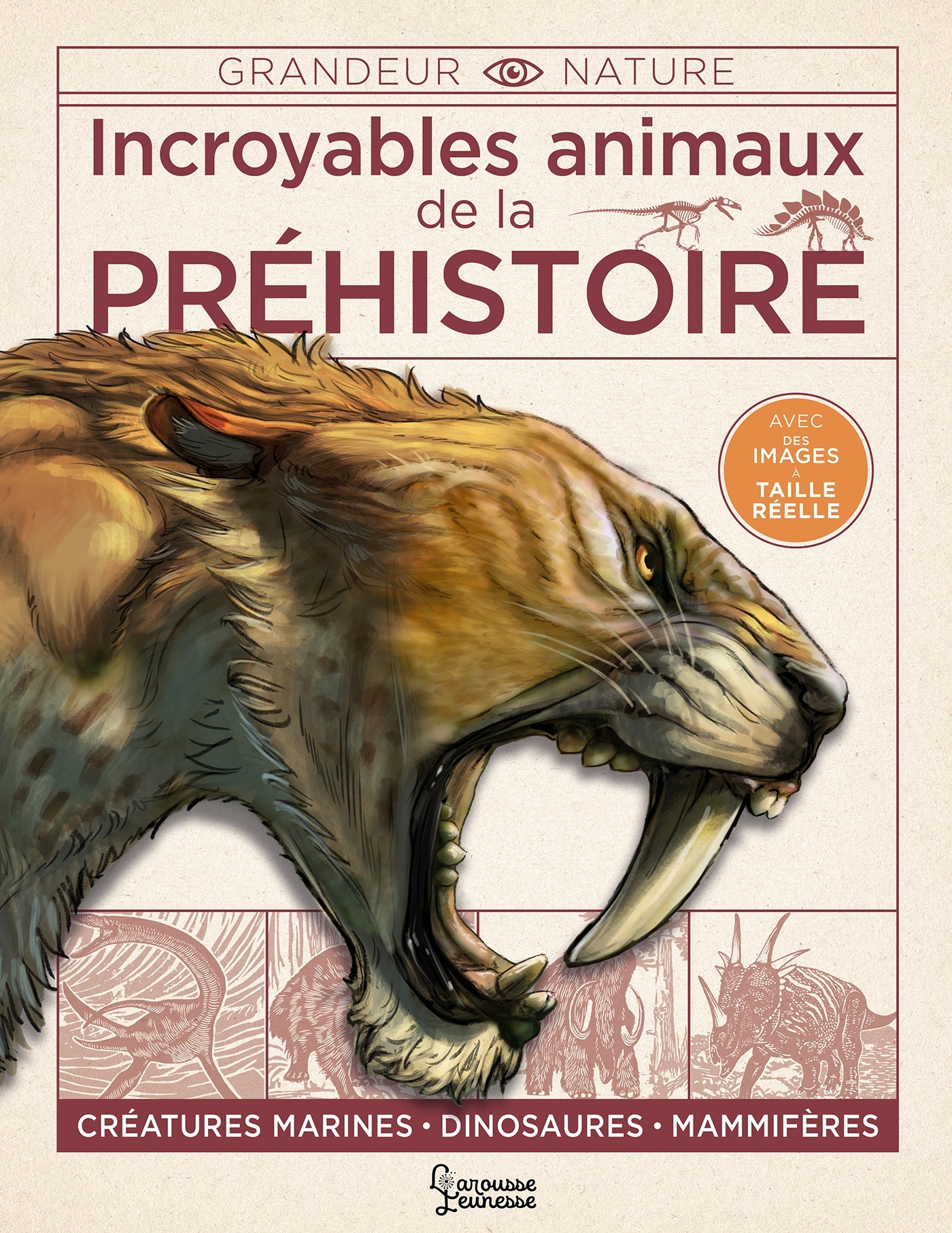 INCROYABLES ANIMAUX DE LA PREHISTOIRE - Dougal Dixon - LAROUSSE