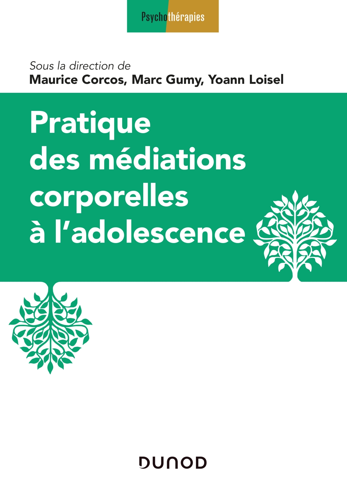 Pratique des médiations corporelles à l'adolescence - Maurice Corcos - DUNOD