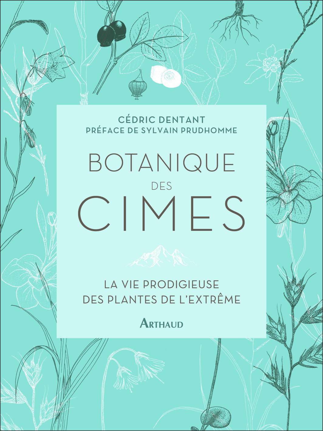 BOTANIQUE DES CIMES - Cédric Dentant - ARTHAUD