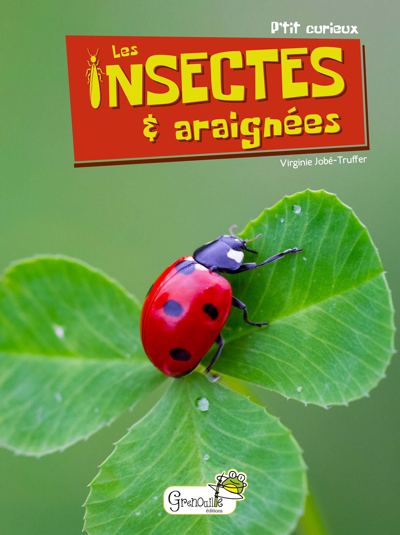 LES INSECTES ET ARAIGNEES - VIRGINIE JOBE-TRUFFER - GRENOUILLE