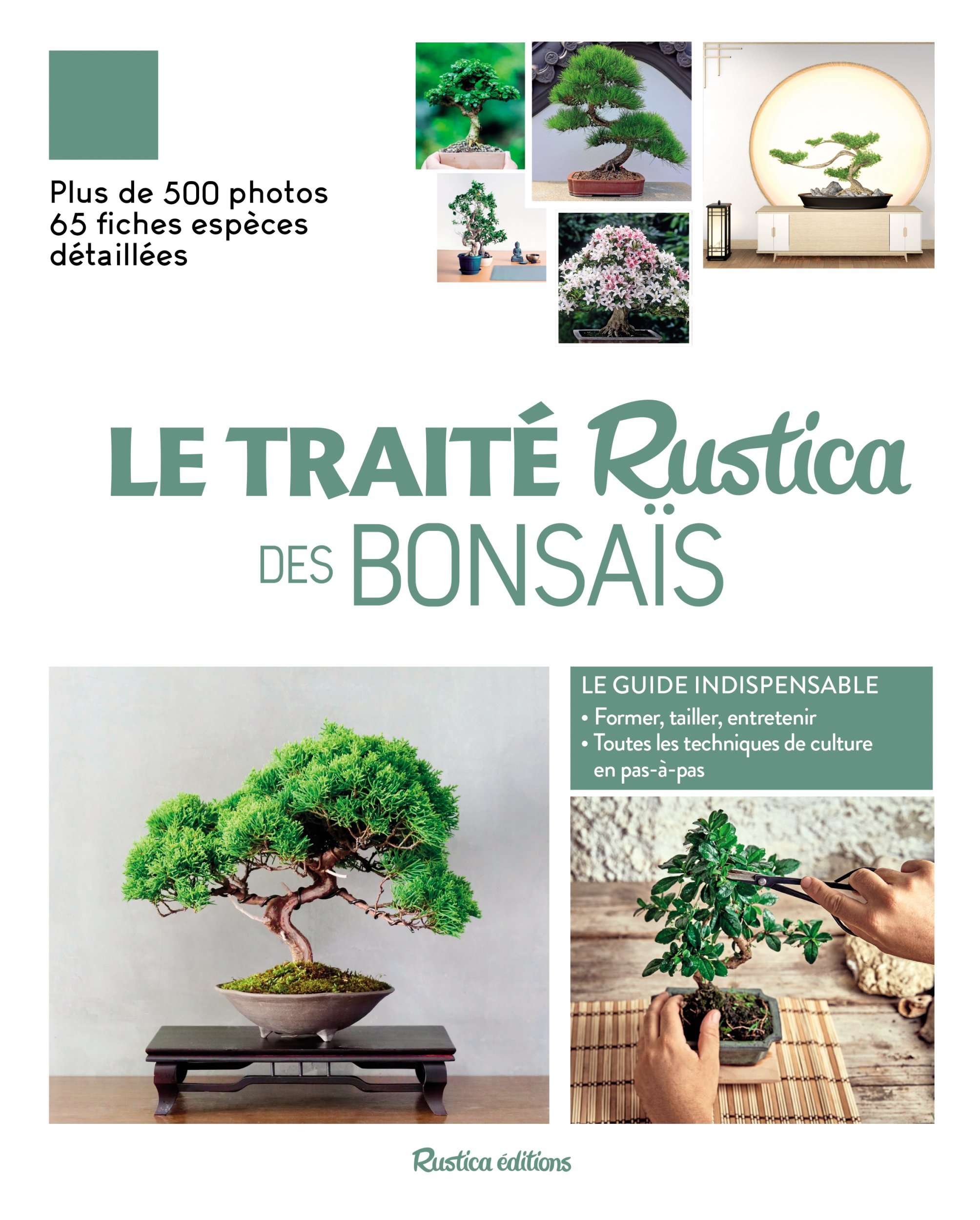 LE TRAITE RUSTICA DES BONSAIS - Alain Barbier - RUSTICA