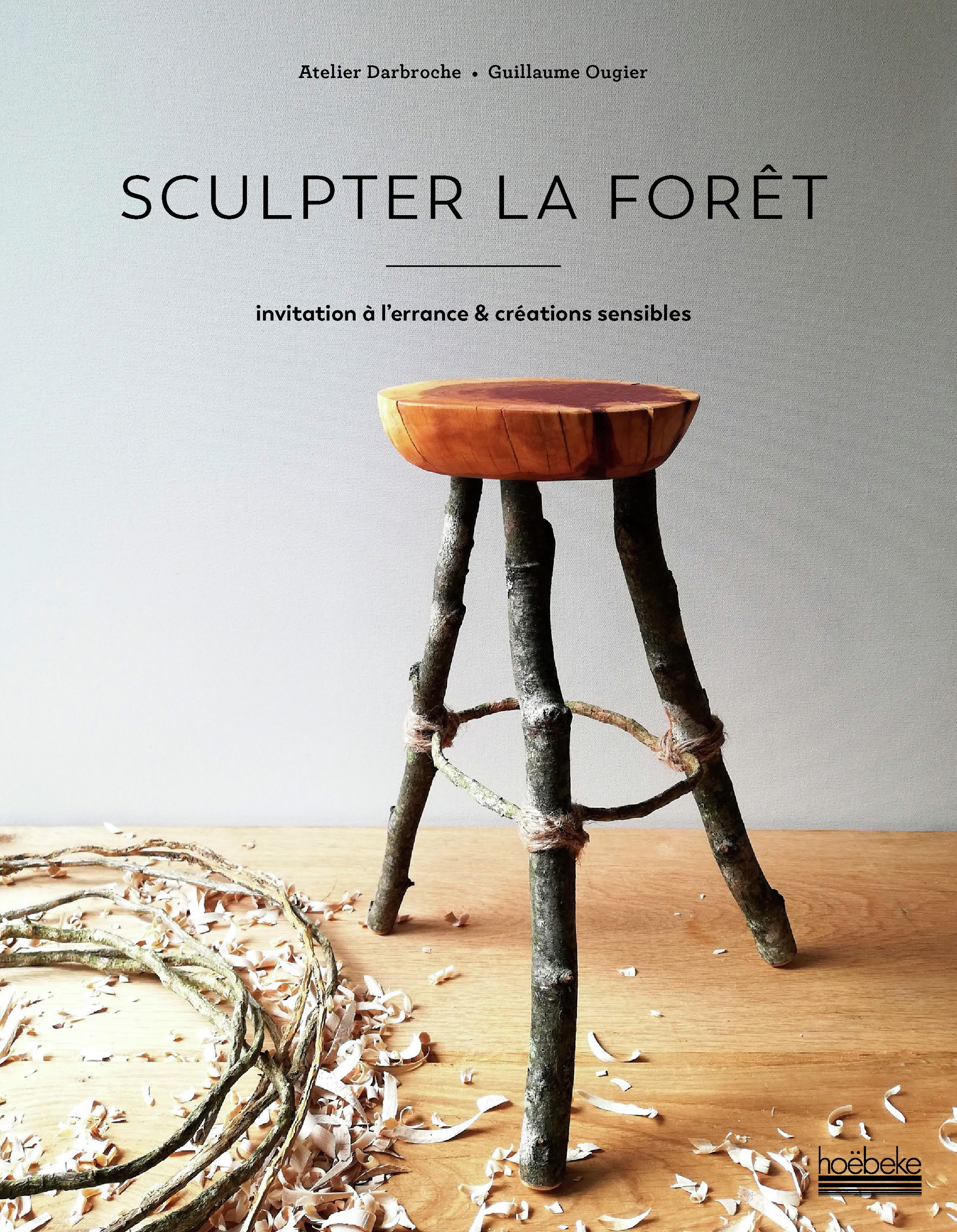 SCULPTER LA FORET : 40 OBJETS POUR RENOUER AVEC LA NATURE (TP) - Guillaume Ougier - HOEBEKE