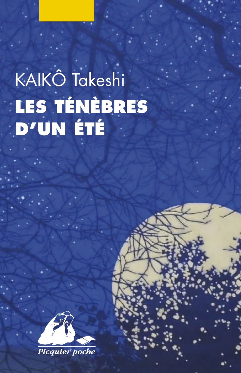 LES TENEBRES D-UN ETE - Takeshi KAIKO - PICQUIER