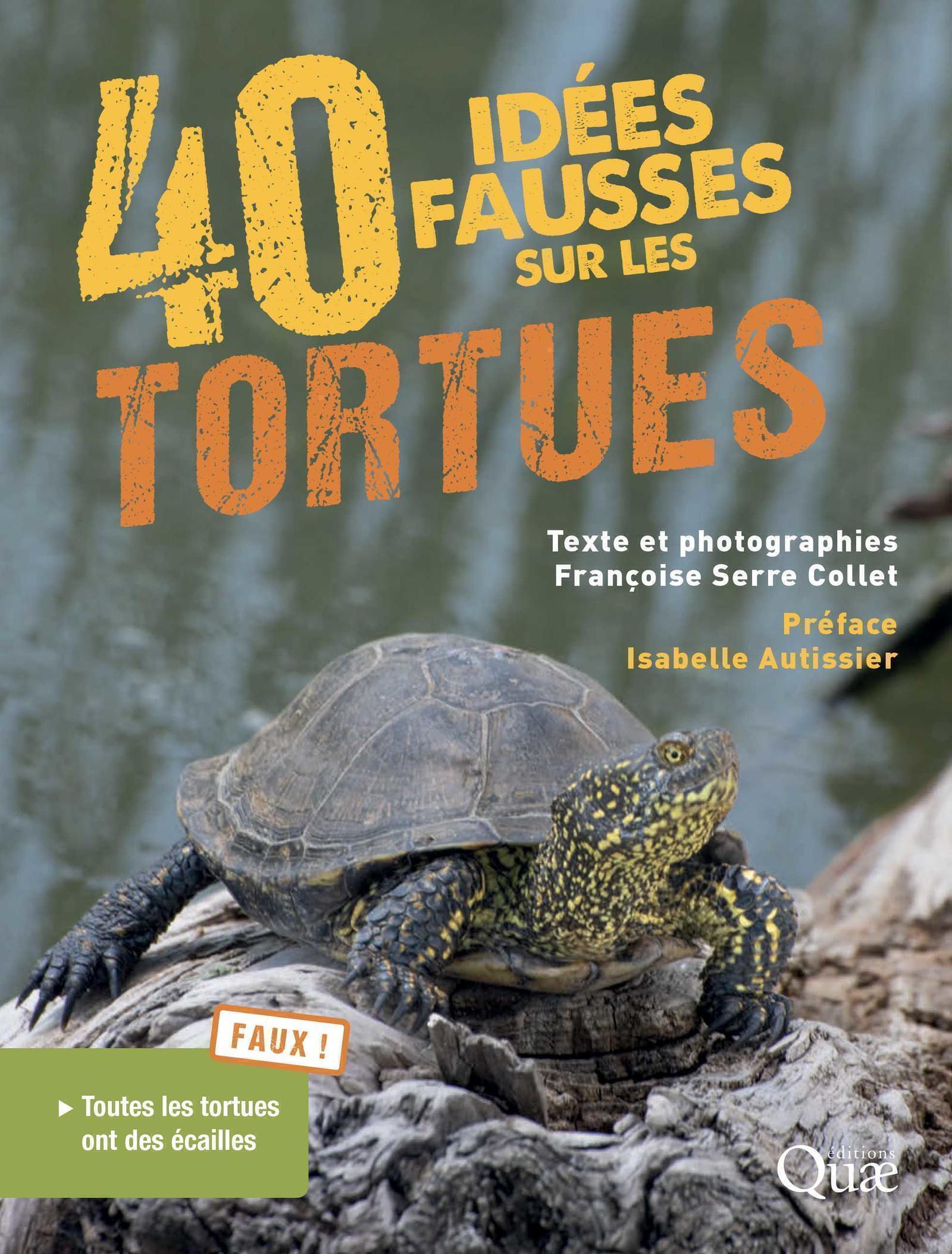 40 IDEES FAUSSES SUR LES TORTUES - Françoise Serre Collet - QUAE